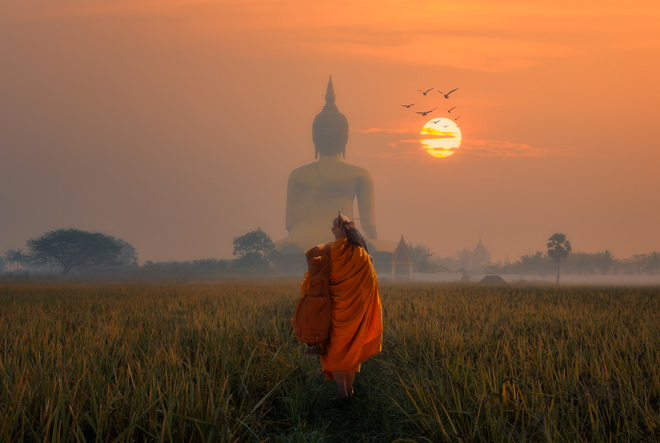 The art of “sleeping on your feet”!