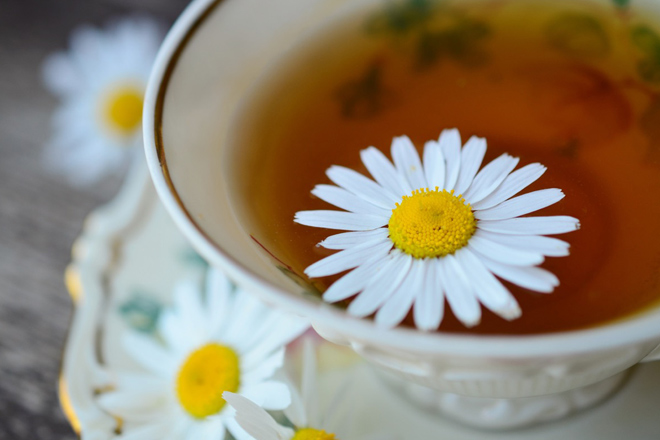 Chamomile for a good night’s sleep: do you know these 5 fun facts?