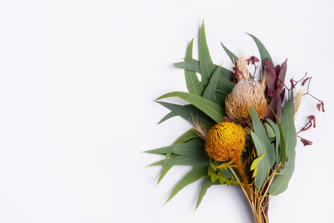 Australian flowers: natural remedies for good sleep