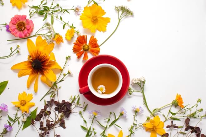 California poppy: a natural remedy for your sleep